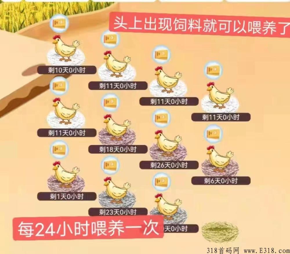 阿尼农场真的能挣到钱吗?怎么加入如何做呢？