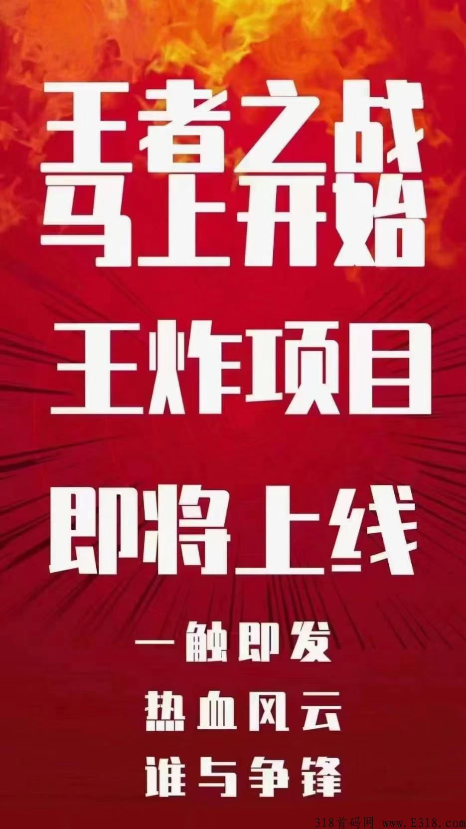 维珍优创真能赚钱吗 维珍与蚁丛哪个靠谱